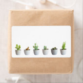 Cactus in potten etiket (Insitu)