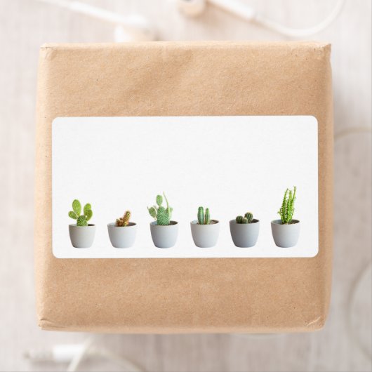 Cactus in potten etiket (Insitu)