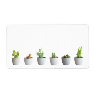 Cactus in potten etiket