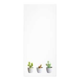 Cactus in potten reclamekaart