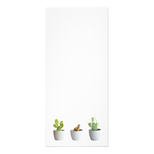 Cactus in potten reclamekaart (Voorkant)