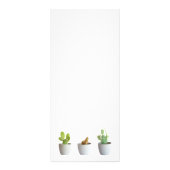 Cactus in potten reclamekaart (Achterkant)