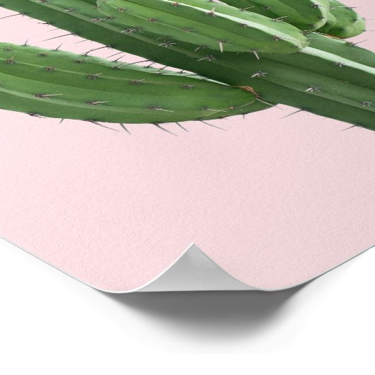 Cactus in roze poster (Hoek)