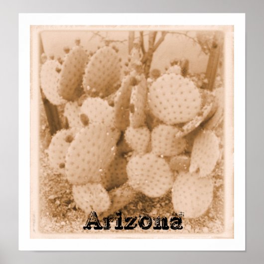 cactus in sepia print (Voorkant)