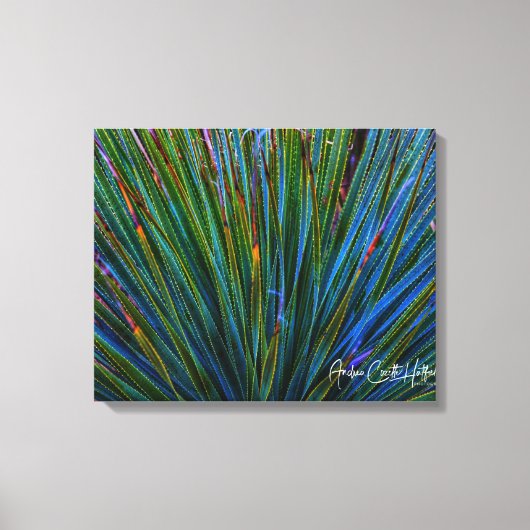 Cactus in Turquoise Canvas Afdruk (Voorkant)