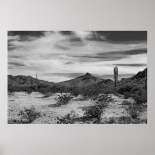 Cactus in witte zanden poster