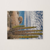 Cactus in woestijn landschap legpuzzel (Horizontaal)