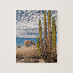 Cactus in woestijn landschap legpuzzel