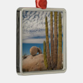 Cactus in woestijn landschap metalen ornament (Rechts)