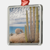 Cactus in woestijn landschap metalen ornament (Links)