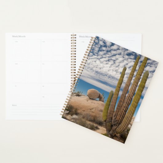 Cactus in woestijn landschap planner (Display)