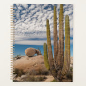 Cactus in woestijn landschap planner (Voorkant)