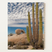 Cactus in woestijn landschap planner (Achterkant)