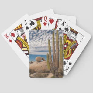 Cactus in woestijn landschap pokerkaarten