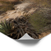 Cactus in woestijn landschap poster (Hoek)