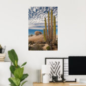 Cactus in woestijn landschap poster (Thuiskantoor)