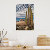 Cactus in woestijn landschap poster (Keuken)