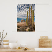 Cactus in woestijn Schilderachtig Poster (Keuken)