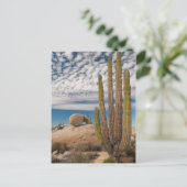 Cactus in woestijnlandschap briefkaart (Staand voorkant)
