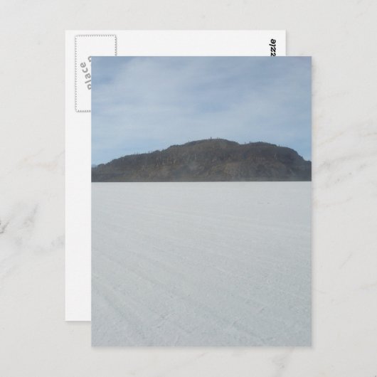 Cactus Island Briefkaart (Voorkant / Achterkant)