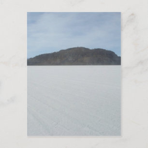 Cactus Island Briefkaart