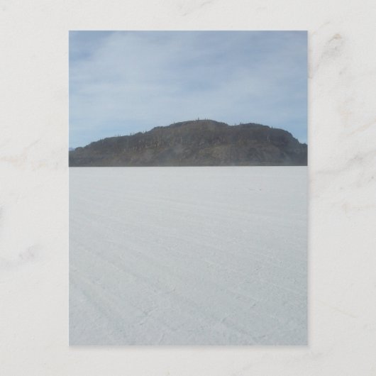 Cactus Island Briefkaart (Voorkant)