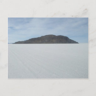 Cactus Island Briefkaart