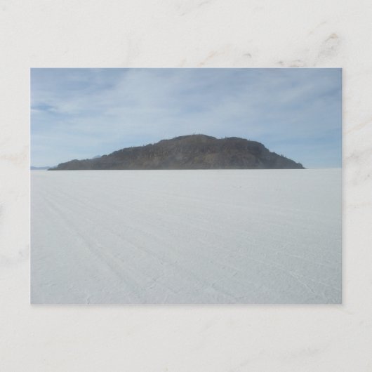 Cactus Island Briefkaart (Voorkant)