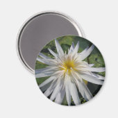 Cactus Jack Magneet (Voorkant / Achterkant)