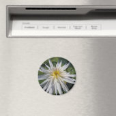 Cactus Jack Magneet (Insitu (Vaatwasser))