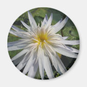 Cactus Jack Magneet (Voorkant)