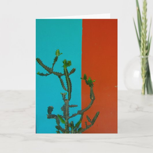 cactus kaart (Voorkant)