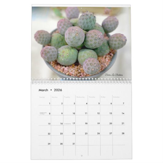 Cactus Kalender door Debra Lee Baldwin (Mar 2026)