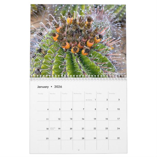 Cactus Kalender door Debra Lee Baldwin (Jan 2026)