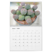 Cactus Kalender door Debra Lee Baldwin (Mar 2027)
