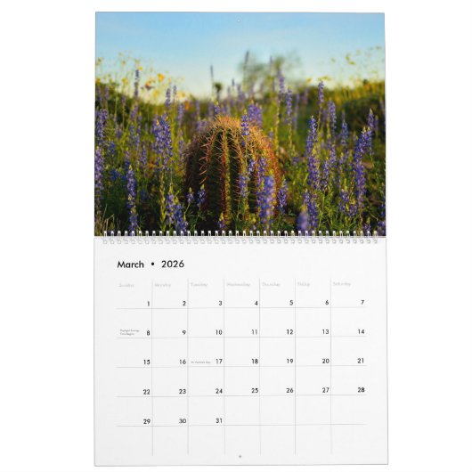 Cactus Kalender Natuur Kalender Home Wall (Mar 2026)