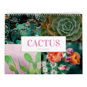 Cactus Kalender Natuur Kalender Home Wall