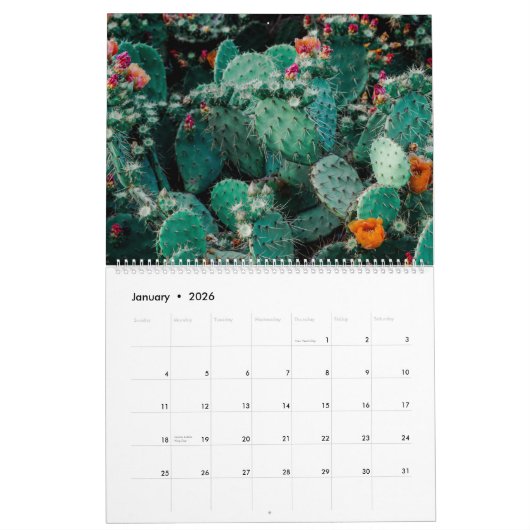 Cactus Kalender Natuur Kalender Home Wall (Jan 2026)