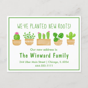 Cactus Kamerplanten Wit Nieuw Huis Ansichtkaart Briefkaart