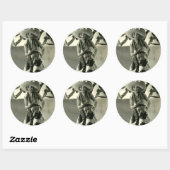 Cactus Kate Ronde Sticker (Vel)