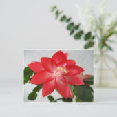 Cactus, kerstcactus feestdagenkaart (Staand voorkant)