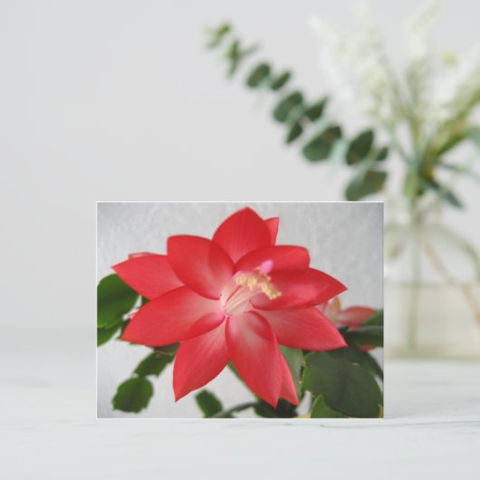 Cactus, kerstcactus feestdagenkaart (Staand voorkant)