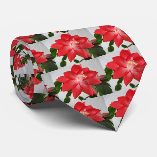 cactus, kerstcactus stropdas (Opgerold)