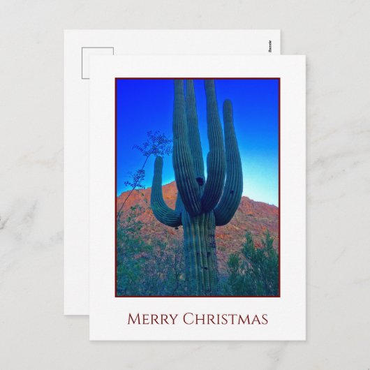 Cactus Kerstfeestay Kaart (Voorkant / Achterkant)