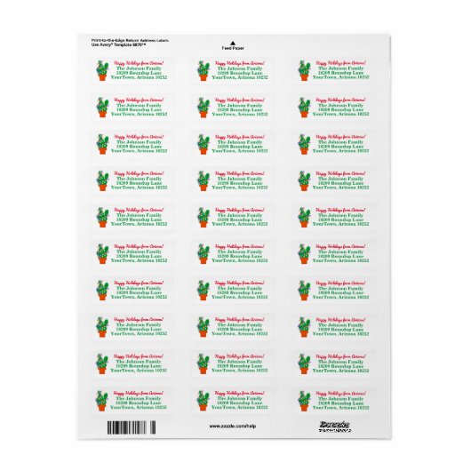 Cactus Kerstlights Arizona Return Address Etiket (Full Sheet)