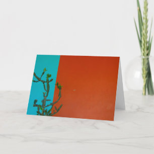cactus kleuren kaart