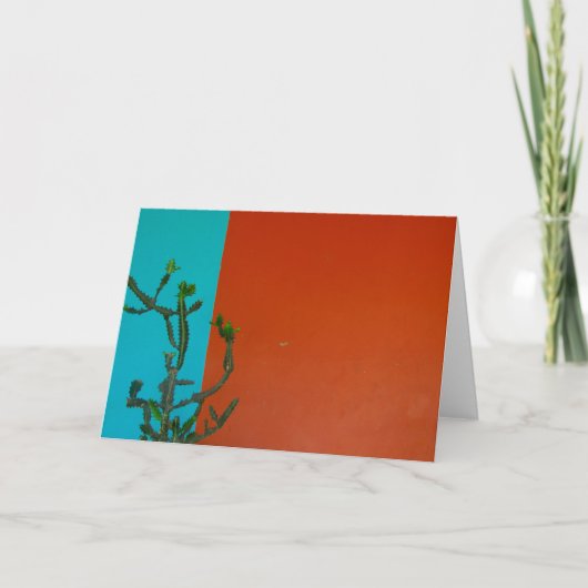 cactus kleuren kaart (Voorkant)