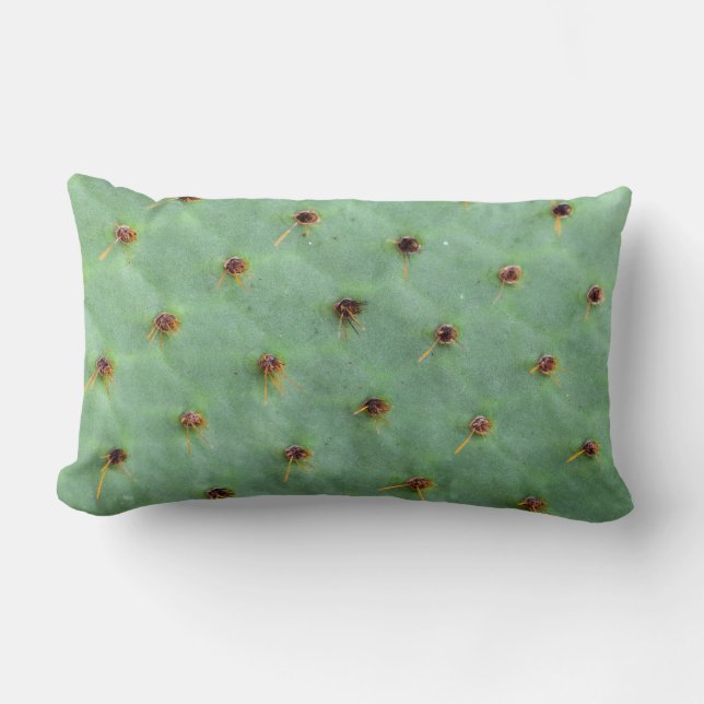 Cactus Kussen (Voorkant)
