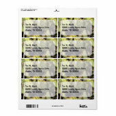 Cactus Label (Full Sheet)