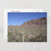 Cactus Landschap Briefkaart (Voorkant / Achterkant)